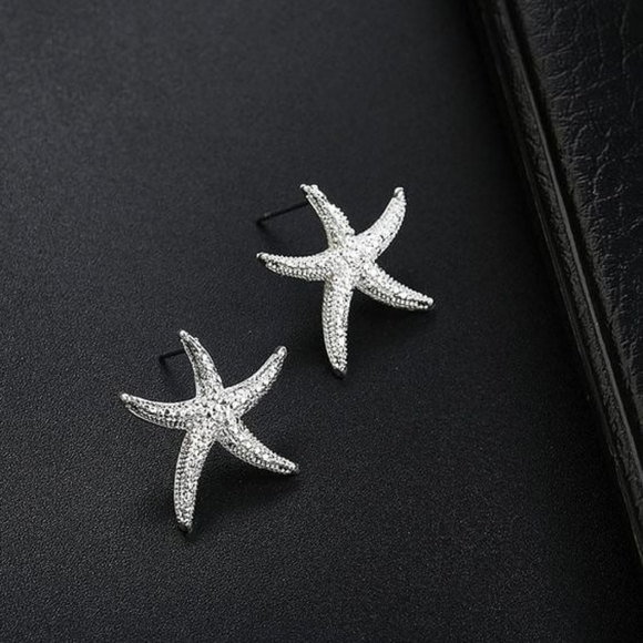 Starfish stainless steel silver earrings - Picture 1 of 4